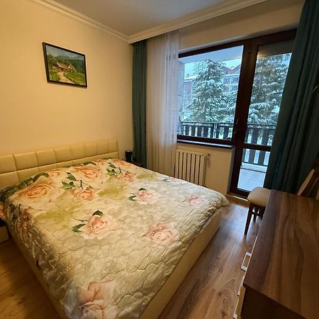 Denitsa Apartment Borovec Kültér fotó