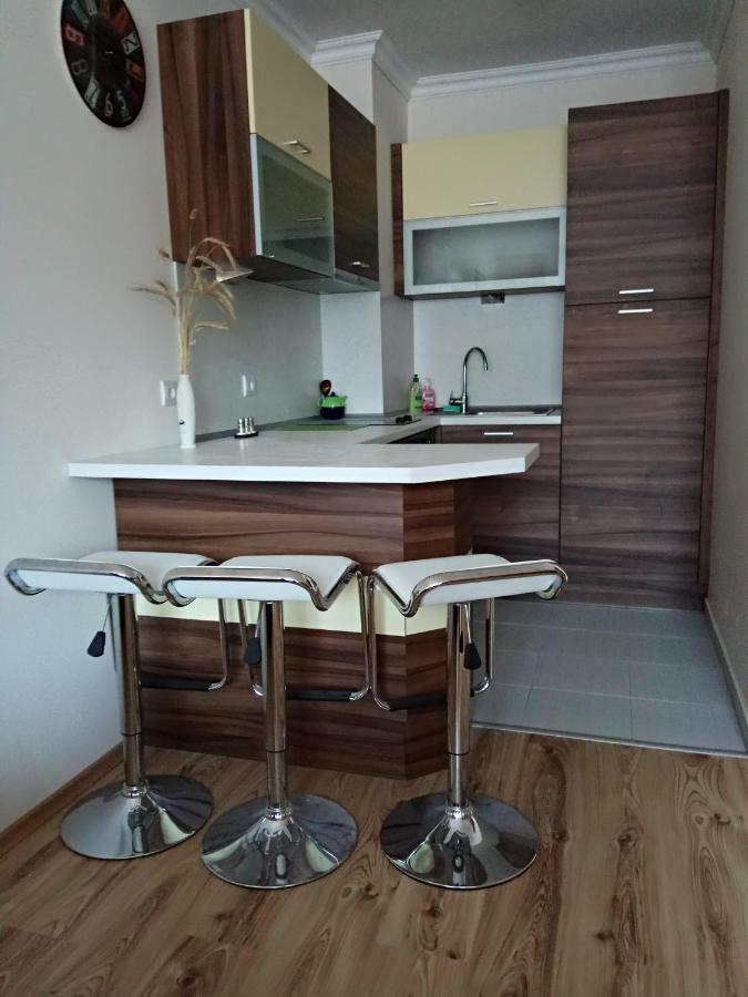 Denitsa Apartment Borovec Kültér fotó
