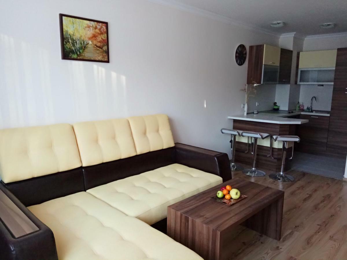 Denitsa Apartment Borovec Kültér fotó